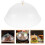 Une Alimentaire Ronde En Transparent 31 Cm 5