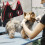 Hanging Grooming Hammock For Cats Simple Design 1 Set 5