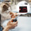 Hanging Grooming Hammock For Cats Simple Design 1 Set 3