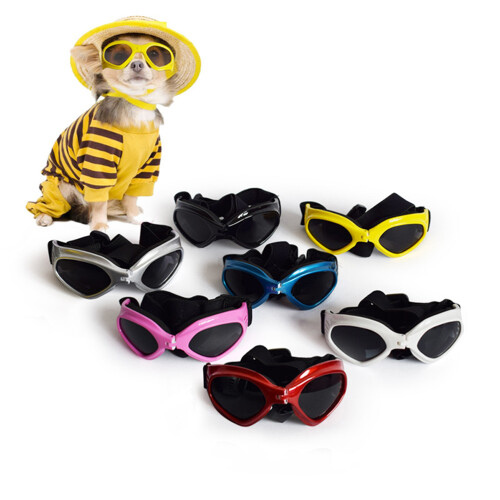lunettes de triangle pour chat 2