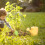1 Set Garden Work Tools Cloth Weeding Child Outdoor 6