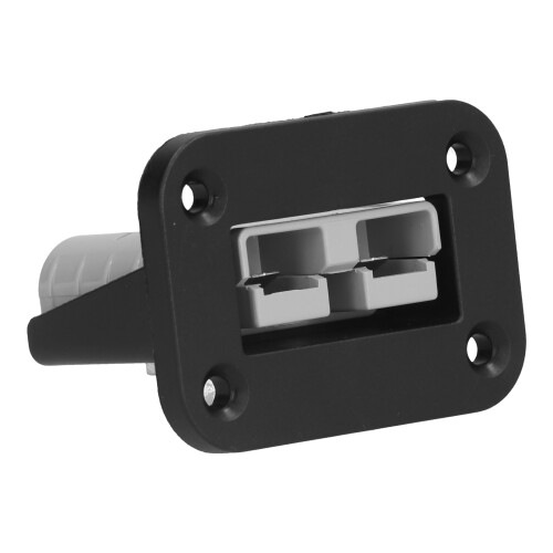 Schwarzer ABS-Batterieladestecker, 1
