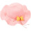 1Girls Hat Zonnige Beach Hat Stro 5