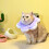 Pet Recovery Collar Cat Soft Protective Ring Waterproof 1pc 6