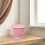 Pot De Rose Compact En PP Pour Bébé, Voyage Maison 5