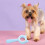 2 Pcs Double-Sided Deshedding Brush Comb For Cat Ear Grooming 7