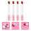 4Pcs Women Lipstick Set Matte Lip Gloss Professional Makeup Tools 9