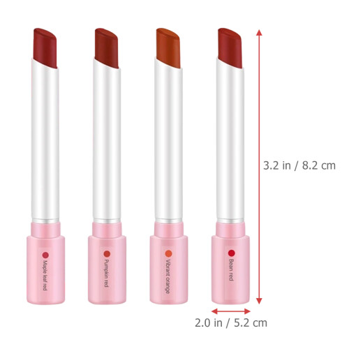 4Pcs Women Lipstick Set Matte Lip Gloss Professional Makeup Tools 1