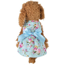 Robe délicate pour chien et fille, vêtement à-Bleu ciel XL
