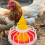 Mlins  Convenient Chick Feeder Poultry Water Chicken Automatic Baby 7
