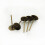 800 Pezzi In Placcato 4 Mm 2