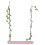 Bird Wood Perch Para Suporte Suspenso 10