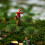 Set Simulata Miniatura Per Paesaggio 6