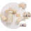 36 Figure Legno Da Colorare Da Te Per Bambini Con 10