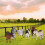 6 Mini Animali Della In Educativo 9