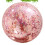 Palla Trasparente Con Paillettes E Pompa 5