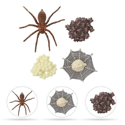 Set Ciclo Artropodi Animali 2