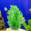 Decorazione Per Piante Acquatiche, Per 9