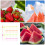 100 Pezzi Stuzzicadenti Per Frutta E Cocktail 5
