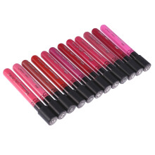 12 Gecombineerde Kleur Vloeibare Lippenstift Matte