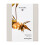 Dr. Hauschka DR. HAUSCHKA - Weihnachtsgeschenkset Warmes Strahlen 12,5ml+10ml+40ml 1
