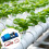 Electronic Relays Module For Automation Featuring Single-5V 4