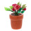 De Bonsai De Rosa Para Casa De Bonecas Acessório Miniatura 1