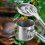 Multifunctionele tuinoogstapparatuur voor-Set van 2 stuks 5