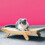 Cat Scratcher De Papelão Ondulado Para 3