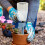 Dispositivo De Irrigação Automática Para Plantas Internas E 6