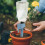 Dispositivo De Irrigação Automática Para Plantas Internas E 4