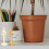 4 Unidades Decorações De De Simulado 4