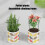 Stackable Monstera Plant Support, 2025 New Plant Stakes for-F 5