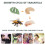 Conjunto Inseto Educativo Ciclo Miniatura 10