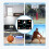 Shock Absorbing Exercise Mat, Foldable and for Basketball Training, NonSlip for Enhanced Grip 3
