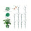 Stackable Monstera Plant Support, 2025 New Plant Stakes for-G 1