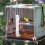 1 Set Creatieve Vogelkooi Hangende Waterautomaat (Wit) 8
