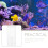 2 Aquarium Benodigdheden Acryl 11