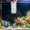 2 Aquarium Benodigdheden Acryl 9