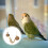 1Set Coconutshell Vogelhuis Met Ladder Comfortabel Nest 3