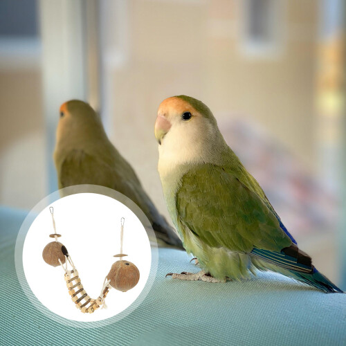 1Set Coconutshell Vogelhuis Met Ladder Comfortabel Nest 2