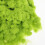9Pcs Static Grass For Diy Miniature Scenery Crafting Projects 8