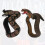 2 Unidades De Educativos Cobras Animais Para Crianças 5