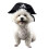 de pirata com capuz e chapéu para cão e , preto 10