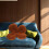 Cute Seat Cushion Pillow Coffee Plush Indoor Use 1pack 4