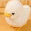 4pcs plush wind up jumping duck toys, clockwork ducks 10