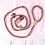 Training Lead Slid Lead Pet Training Leash Bold Sliding Rope 7