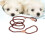Training Lead Slid Lead Pet Training Leash Bold Sliding Rope 2