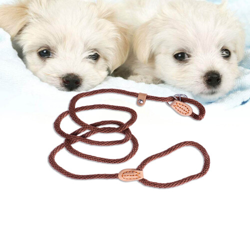 Training Lead Slid Lead Pet Training Leash Bold Sliding Rope 1