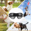 Óculos De Proteção UV Para Cachorro E Com Lentes E Alça Ajustável 8